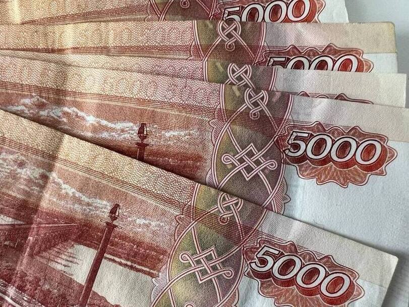 В Изобильном раскрыта кража на сумму более миллиона рублей, подозреваемой – 17‑летняя жительница