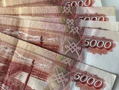В Изобильном раскрыта кража на сумму более миллиона рублей, подозреваемой – 17‑летняя жительница